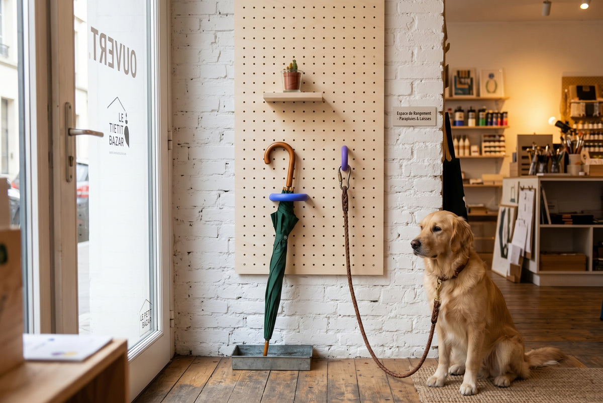 Shop entrance pegboard with a coloured ring holding an umbrella and a dog lead